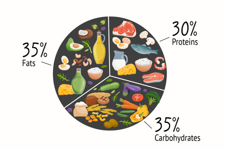 Set of macronutrients. Carbohydrates, proteins, fats presented by food products. Vector illustration of nutrition categories. Balanced nutrition. Healthy foodのイラスト素材