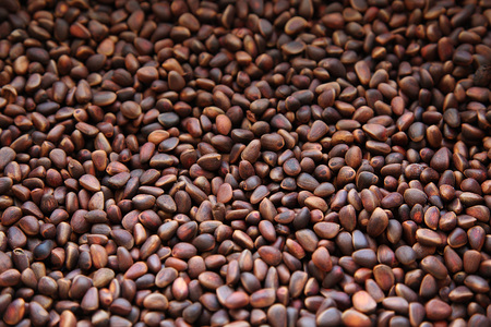 background brown color of unpeeled pine nuts