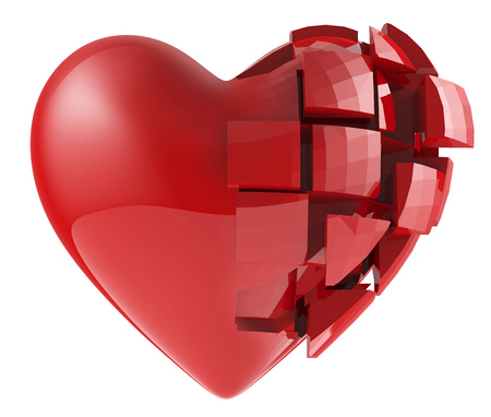 The human heart of the segments set on a white background isolatedの写真素材
