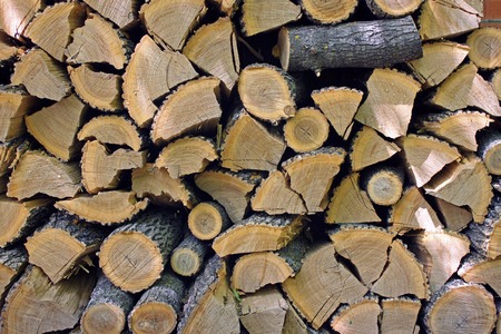 Wood harvested in the winter, stacked in the woodpile