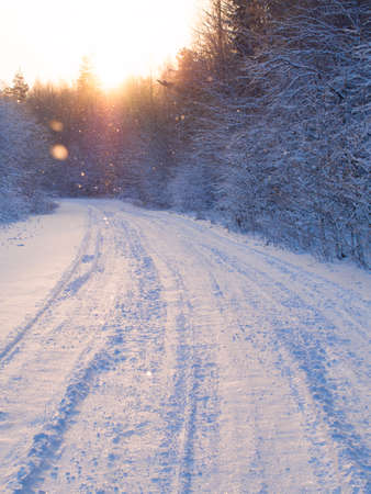 beautiful winter road through the forest, snow falls