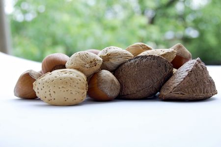 Several walnut and hazelnut on white background
