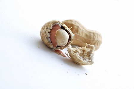 Peanut isolated on the white background
