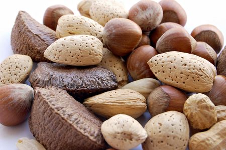 Several walnut and hazelnut on white background