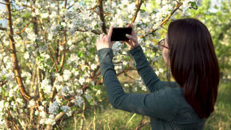 A young woman photographs a blossoming apple tree. Girl in the blooming garden.の写真素材