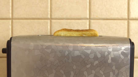 Finished toasts fried in a toaster