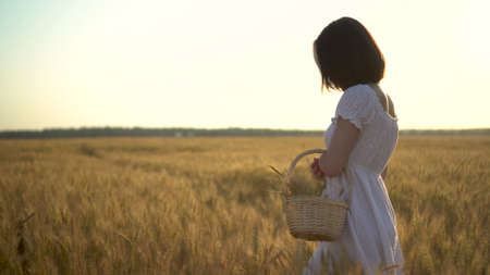 A young woman is walking on a yellow wheat field with a basket in her hands. Straw basket with spikelets of wheat. Side view.の写真素材