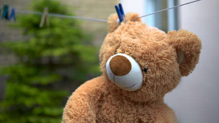 A teddy bear is dried on a rope. Bear is hanging outdoors. Clothespin on the ear.の写真素材