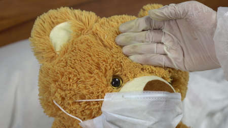 Teddy bear measure the temperature by hand closeup. The doctor makes a measurement of temperature by applying a hand to his forehead. The bear lies in bed with a medical mask.の写真素材