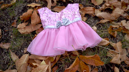Pink baby dress lies on fallen yellow leavesの写真素材