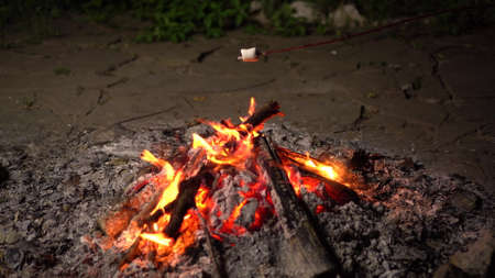 Marshmallow on a stick roasted on a fire close up. Campfire at night.の写真素材