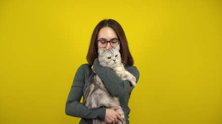 Young woman with a cat in her arms is dancing on a yellow background. Woman with glasses and a green sweater.の写真素材