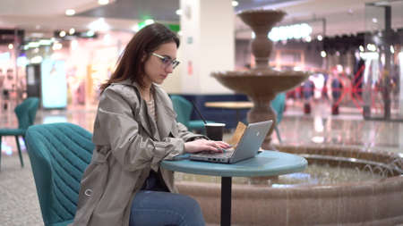 Young woman in a cafe with a laptop on the background of a fountain. Decoration in the cafe.の写真素材