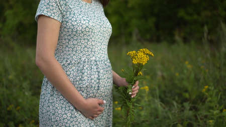 Happy young pregnant woman walks in nature and strokes her belly. The girl in a dress and with...