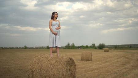 A young pregnant woman stands on a haystack in a field and holds her belly with her hands. Girl with glasses and a blue dress.の写真素材