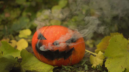 Halloween pumpkin is smoking. Jack lantern lies on the ground at the holiday.の写真素材