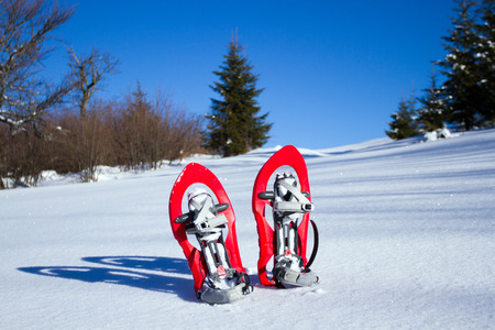Snowshoeing. Snowshoes in the snow.の写真素材
