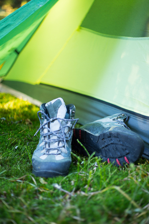 Camping area with multi-colored tents in forestの写真素材