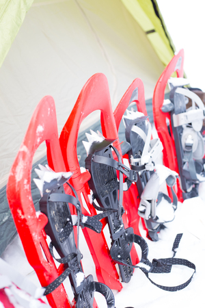 Snowshoeing. Snowshoes in the snow.の写真素材