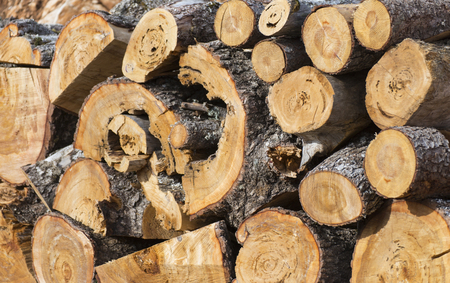 Natural wooden background ,firewood, Firewood stacked and prepared for use pile of wood logs.