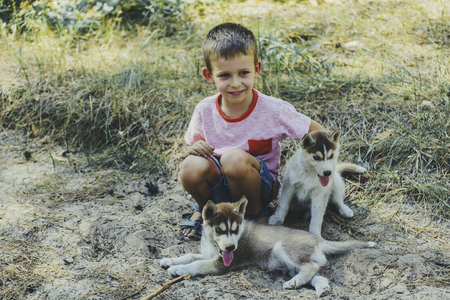 A boy is playing in the woods with Husky puppies.の写真素材