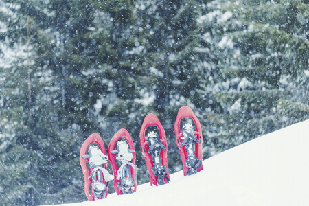 Winter trekking in the mountains. Snowshoes stand in the snow against the background of the mountains.の写真素材