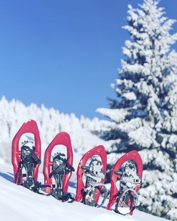 Winter hike in the mountains. Snowshoes stand in the snow against the backdrop of the forest.の写真素材