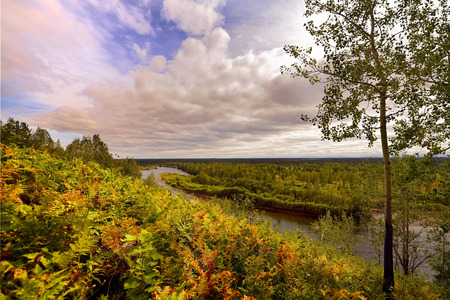 the autumn fern on the mountain yellow birch top view of a meandering river Golden autumn purple beautiful sky autumn stateの写真素材