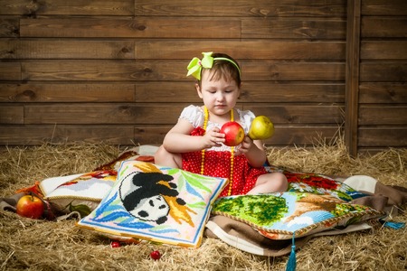 The Girl on the pillows in the hayの写真素材