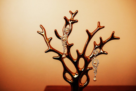 earringの写真素材