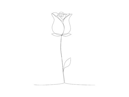 Continuous flower line drawing stock vector illustration isolated on white backgroundのイラスト素材