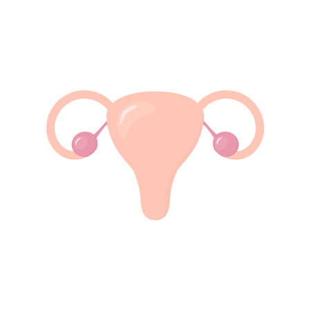 Female reproduction system colorful icon. Women reproduction system shape in flat style vector illustration isolated on white backgroundのイラスト素材