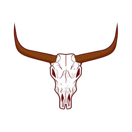 Bull skull icon. Buffalo head vector illustration isolated on white. Animal skull with horns. Texas animal head symbol. Dangerous sign.のイラスト素材