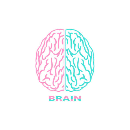 Brain colorful icon. Brain vector with pink and blue colors isolated on whiteのイラスト素材