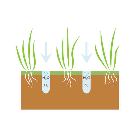 Plant with roots. Lawn aeration stage illustration. Lawn grass. Process of aeration isolated on white background.のイラスト素材