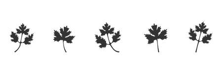 Coriander black icon set. Parsley leaves vector illustration isolated on white. Cilantro symbol collection.のイラスト素材