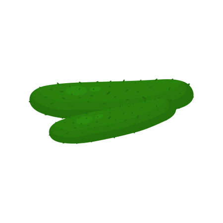 Cucumber fresh vegetable icon. Healthy food tasty symbol. Cucumbers vector isolated on white.のイラスト素材
