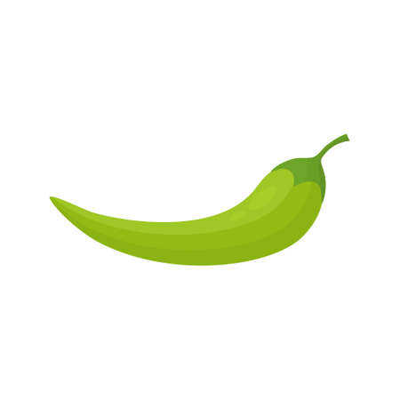 Green hot natural chili pepper. Healthy organic food. Vector illustration isolated on white.のイラスト素材