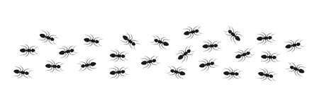 Line of working ants. Anthill symbol. Flock of black ants. Vector illustration isolated on whiteのイラスト素材