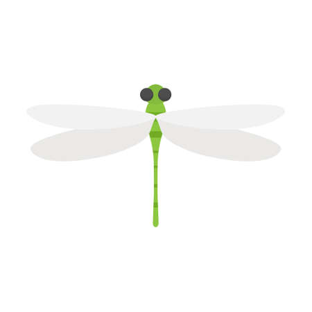 Green dragonfly bug. Cute flat dragonfly icon. Vector isolated on whiteのイラスト素材