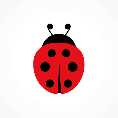Ladybug cute character. Ladybird insect. Vector isolated on whiteのイラスト素材