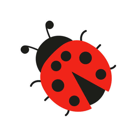 Ladybug cute icon. Ladybird insect character. Vector isolated on whiteのイラスト素材