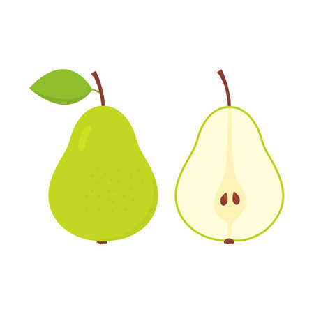 Green whole and half pears. Sweet cute flat pear with leaf. Vector isolated on white.のイラスト素材