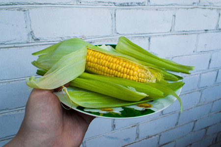 Corn on a plate, Next to the brickwork