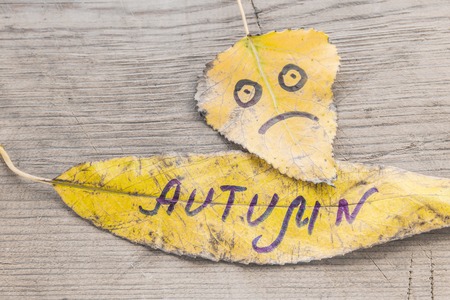 Yellow leaves with the image of a sad face and the inscription Autumn on an old wooden background...