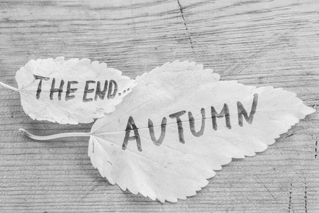 Yellow leaves with an inscription Autumn and THE END on an old wooden background with cracksの写真素材