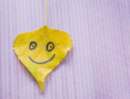 Yellow leaf with a funny face on a pink white backgroundの写真素材