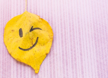 Yellow leaf with image winking on a pink white backgroundの写真素材