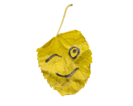 Yellow leaf with the image of a winking face on an isolated white backgroundの写真素材
