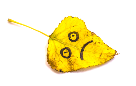Yellow leaves with a picture of sad faces on an isolated white backgroundの写真素材